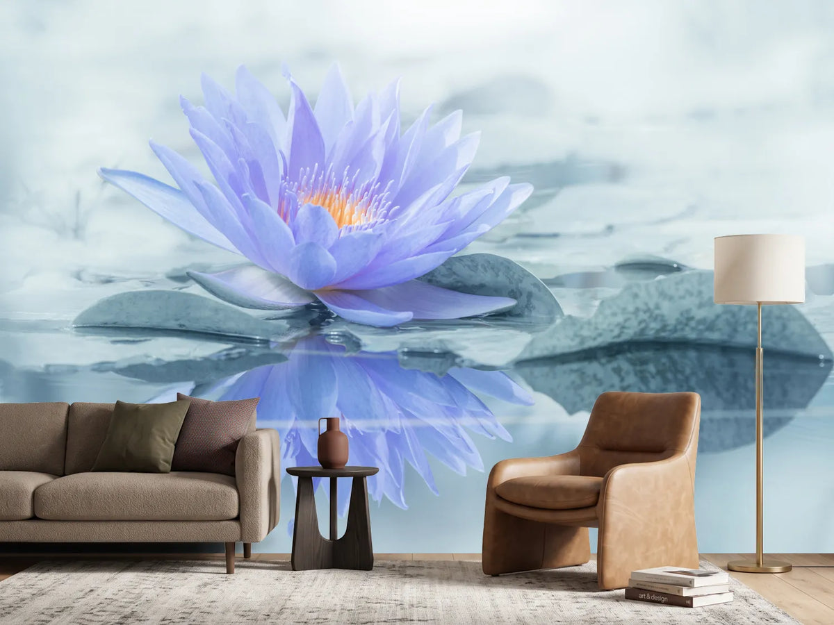 photo-wallpaper-reflection-xus