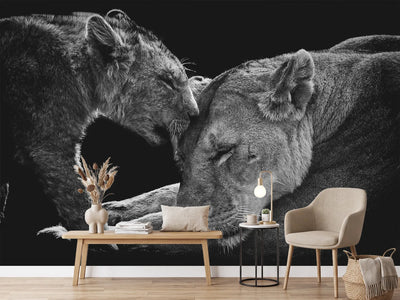 photo-wallpaper-lion-family-x