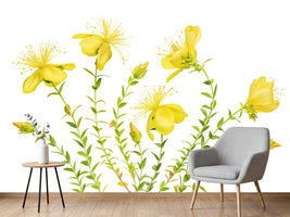 photo-wallpaper-hypericum-x