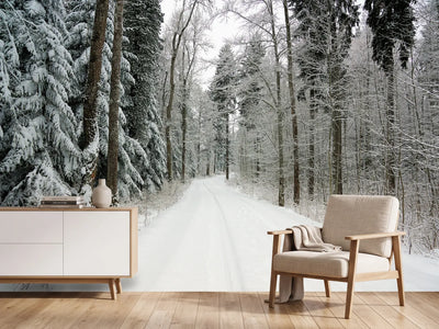 photo-wallpaper-snow-in-the-forest