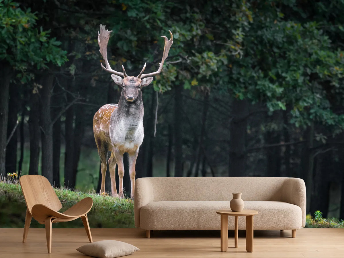 photo-wallpaper-the-fallow-deer-ii