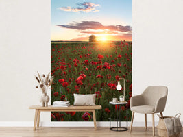photo-wallpaper-poppy-fields-of-sweden