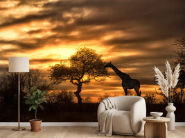 photo-wallpaper-african-dreams