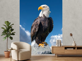 photo-wallpaper-bald-eagle-haliaeetus-leucocephalus-portrait