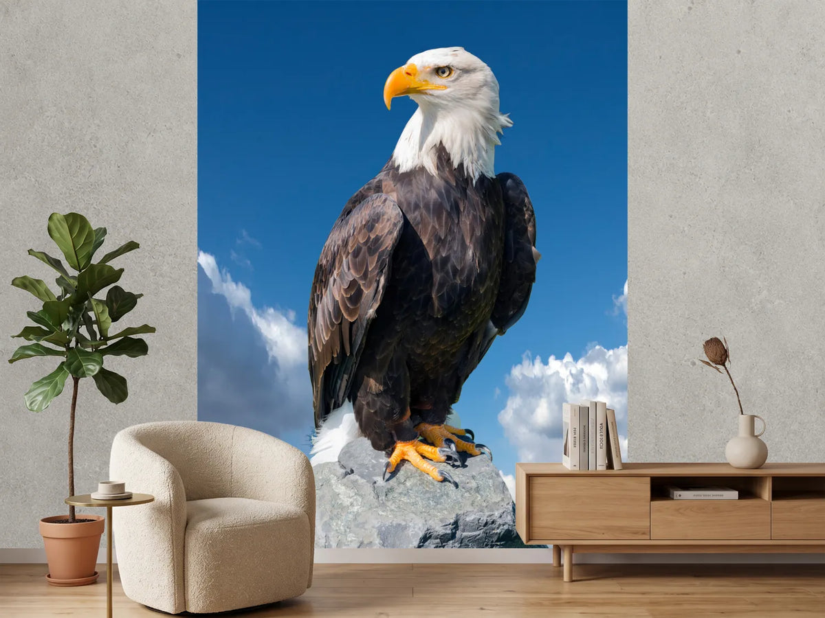 photo-wallpaper-bald-eagle-haliaeetus-leucocephalus-portrait