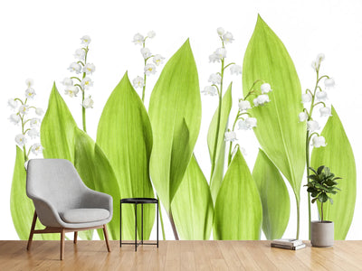 photo-wallpaper-lily-of-the-valley