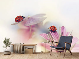 photo-wallpaper-last-days-of-summer-x