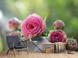 photo-wallpaper-bush-roses