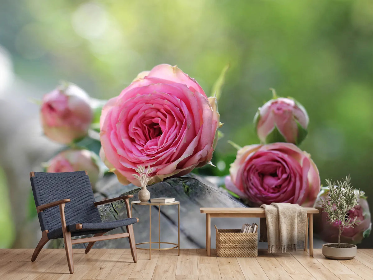 photo-wallpaper-bush-roses