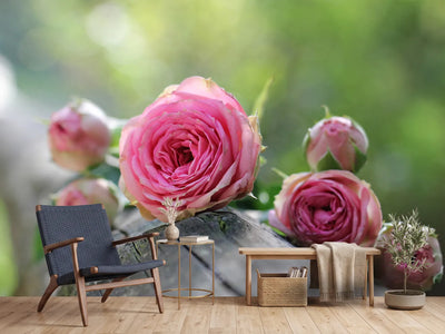 photo-wallpaper-bush-roses