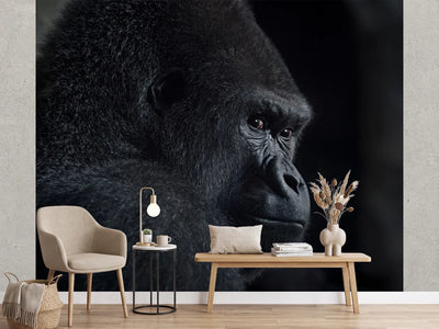 photo-wallpaper-pensive-gorilla-profile