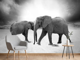 photo-wallpaper-2-elephants-sw