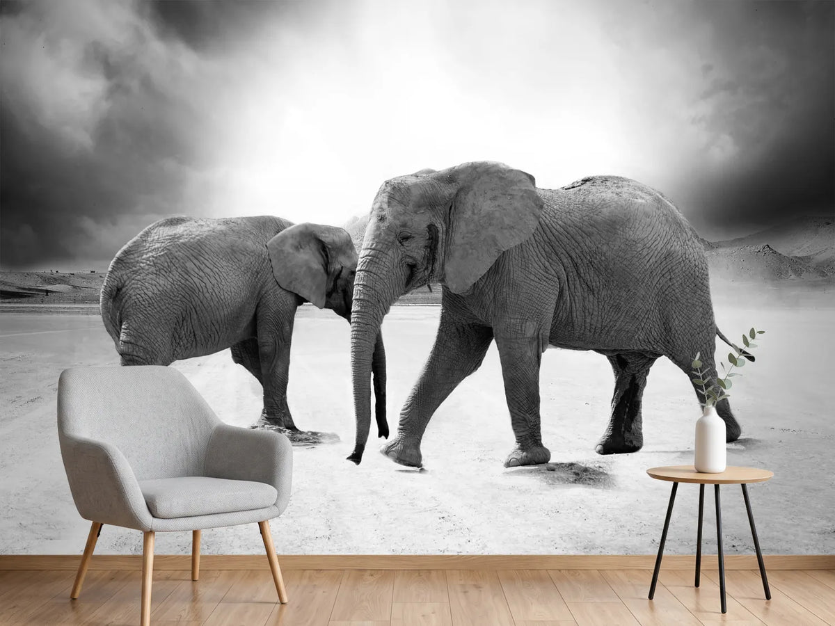 photo-wallpaper-2-elephants-sw