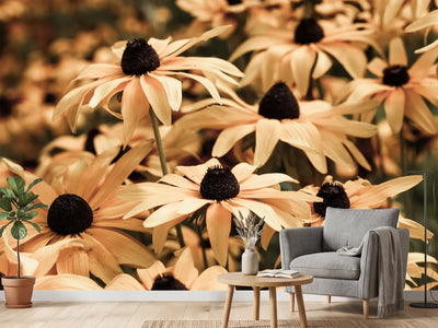 photo-wallpaper-daisies-in-sepia