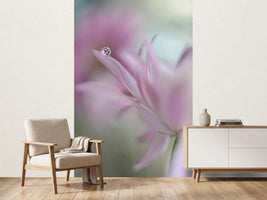 photo-wallpaper-in-pink-delight