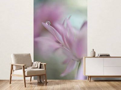 photo-wallpaper-in-pink-delight