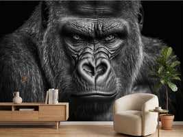 photo-wallpaper-black-and-white-head-portrait-of-a-gorilla