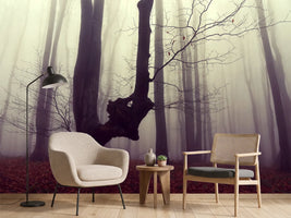 photo-wallpaper-misty-autumn-forest-2