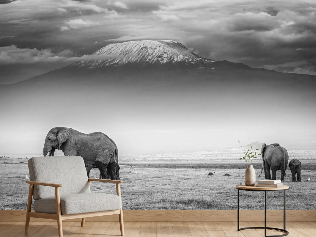 photo-wallpaper-the-land-of-giants-x