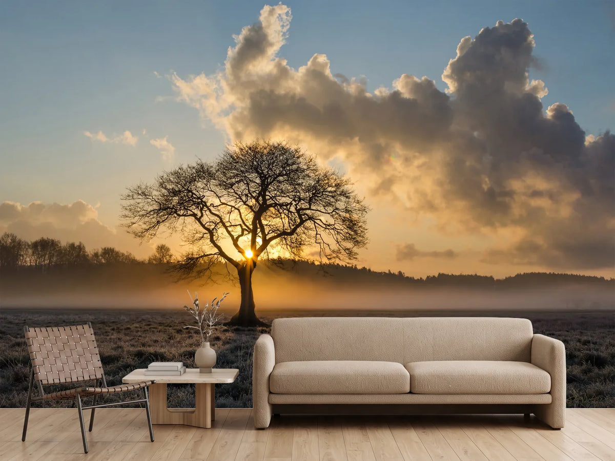 photo-wallpaper-a-lonely-tree