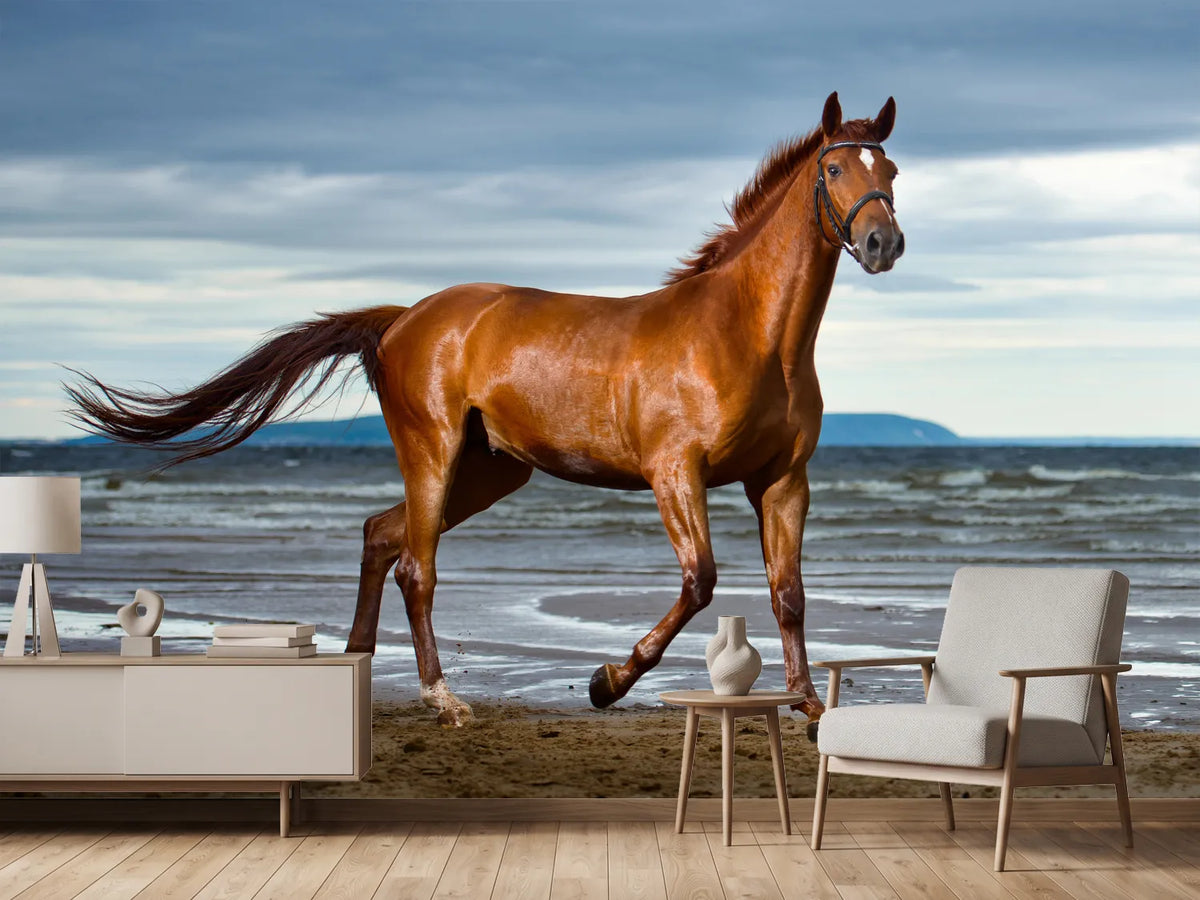 photo-wallpaper-a-thoroughbred-at-the-sea