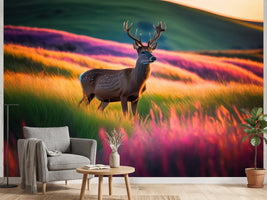 photo-wallpaper-stag-in-glowing-grasslands-at-sunset