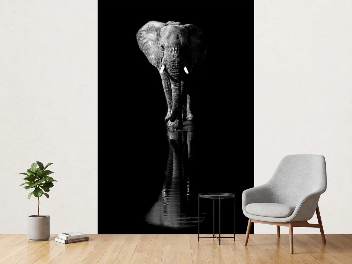 photo-wallpaper-elephant-xsa