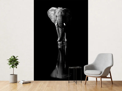 photo-wallpaper-elephant-xsa