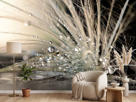 photo-wallpaper-pearls-x