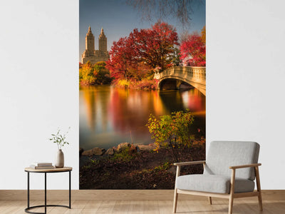 photo-wallpaper-fall-in-central-park-x