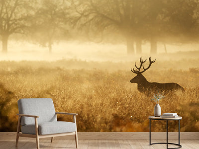 photo-wallpaper-red-deer-stag-silhouette-in-the-mist-2