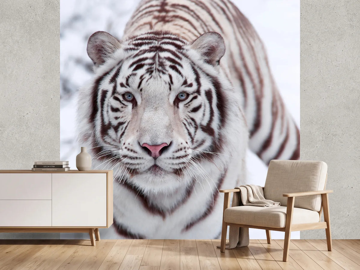 photo-wallpaper-the-king-tiger