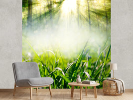 photo-wallpaper-magic-forest