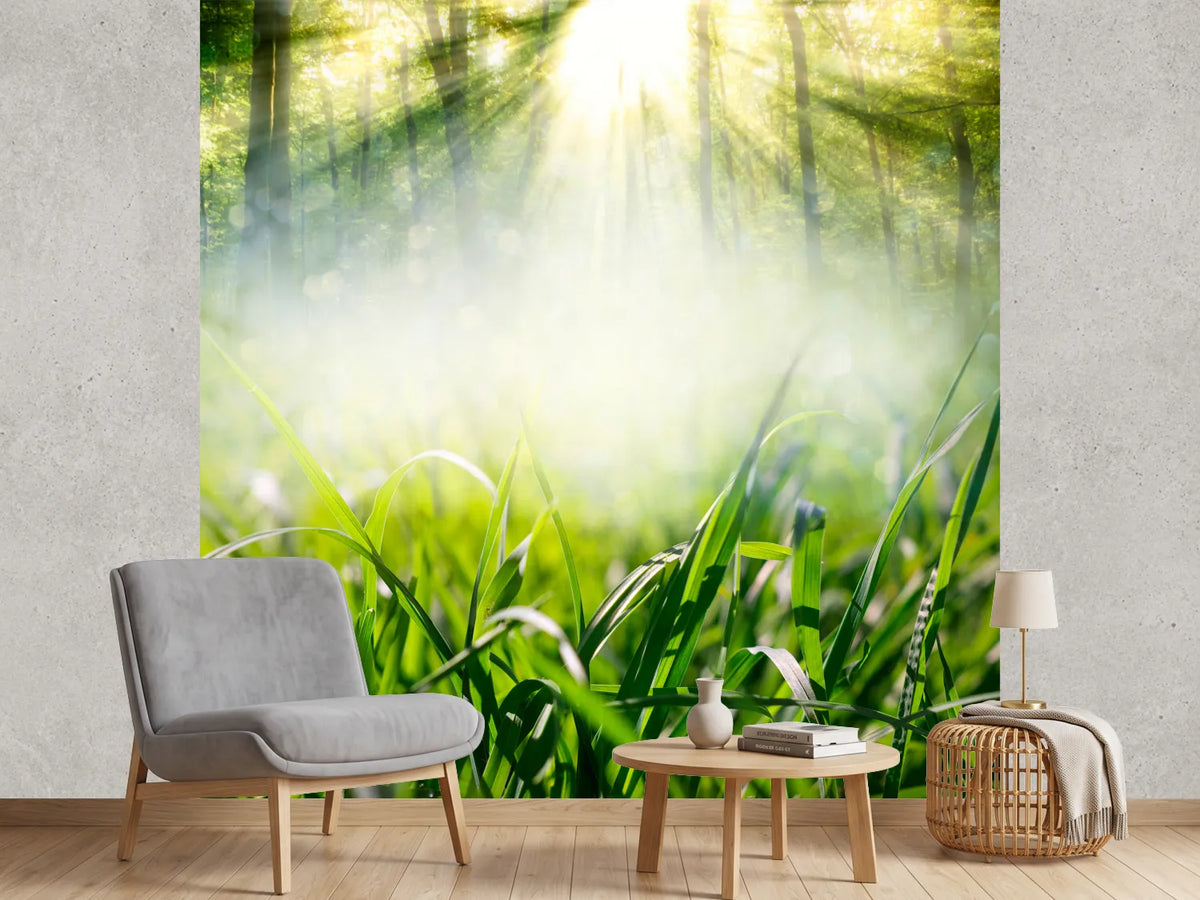 photo-wallpaper-magic-forest