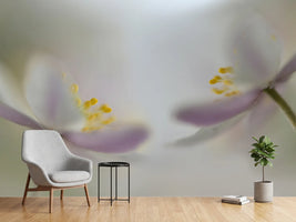 photo-wallpaper-soft-whispering