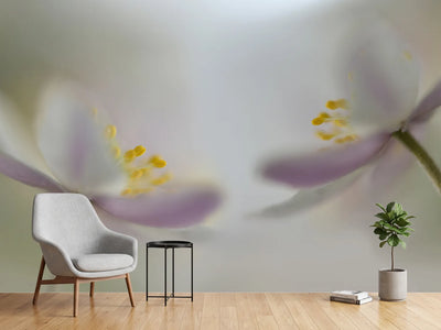 photo-wallpaper-soft-whispering