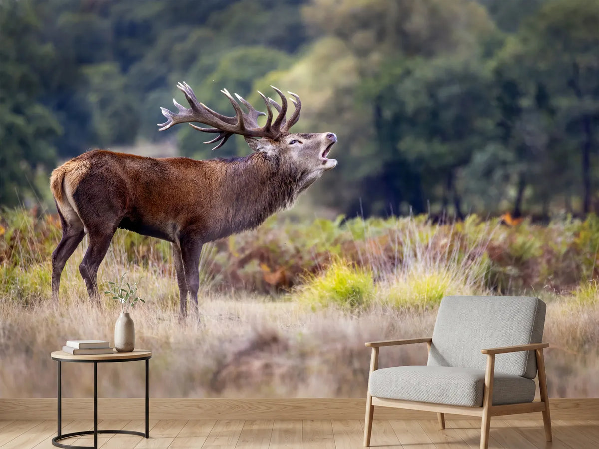 photo-wallpaper-roaring-red-stag