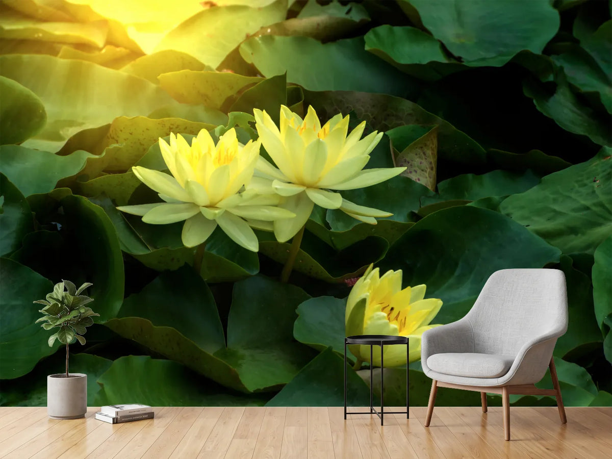 photo-wallpaper-wild-lotus