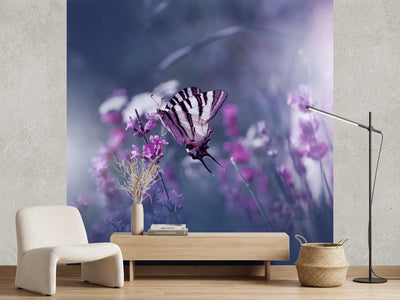 photo-wallpaper-lavender-queen-x