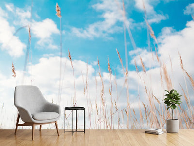 photo-wallpaper-blades-of-grass-in-the-sky