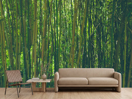 photo-wallpaper-in-the-middle-of-the-bamboo