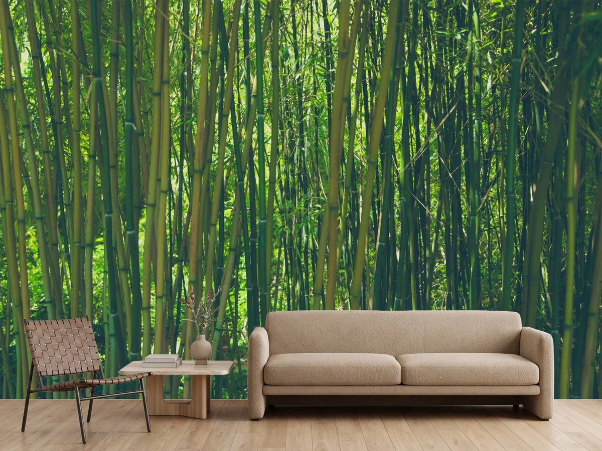 photo-wallpaper-in-the-middle-of-the-bamboo