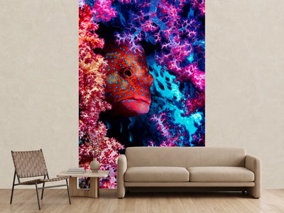 photo-wallpaper-coral-hind-x