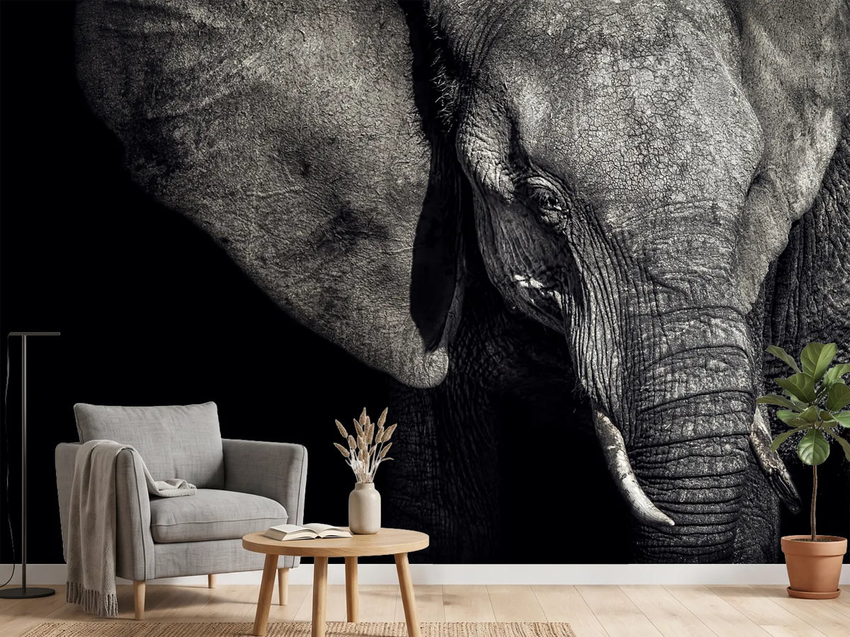 photo-wallpaper-the-matriarch