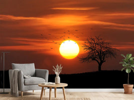 photo-wallpaper-the-sunset-on-the-horizon