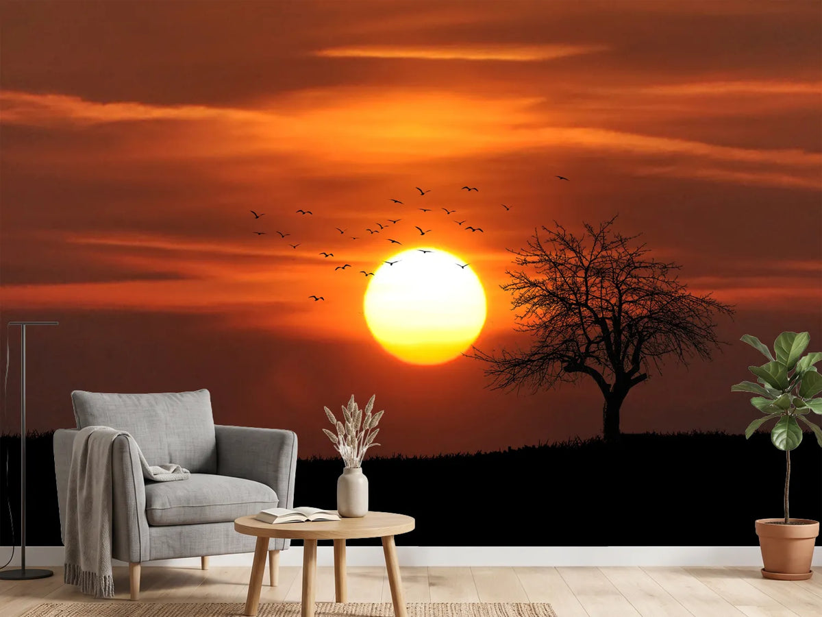 photo-wallpaper-the-sunset-on-the-horizon