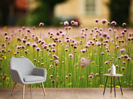 photo-wallpaper-a-meadow-full-of-flowers