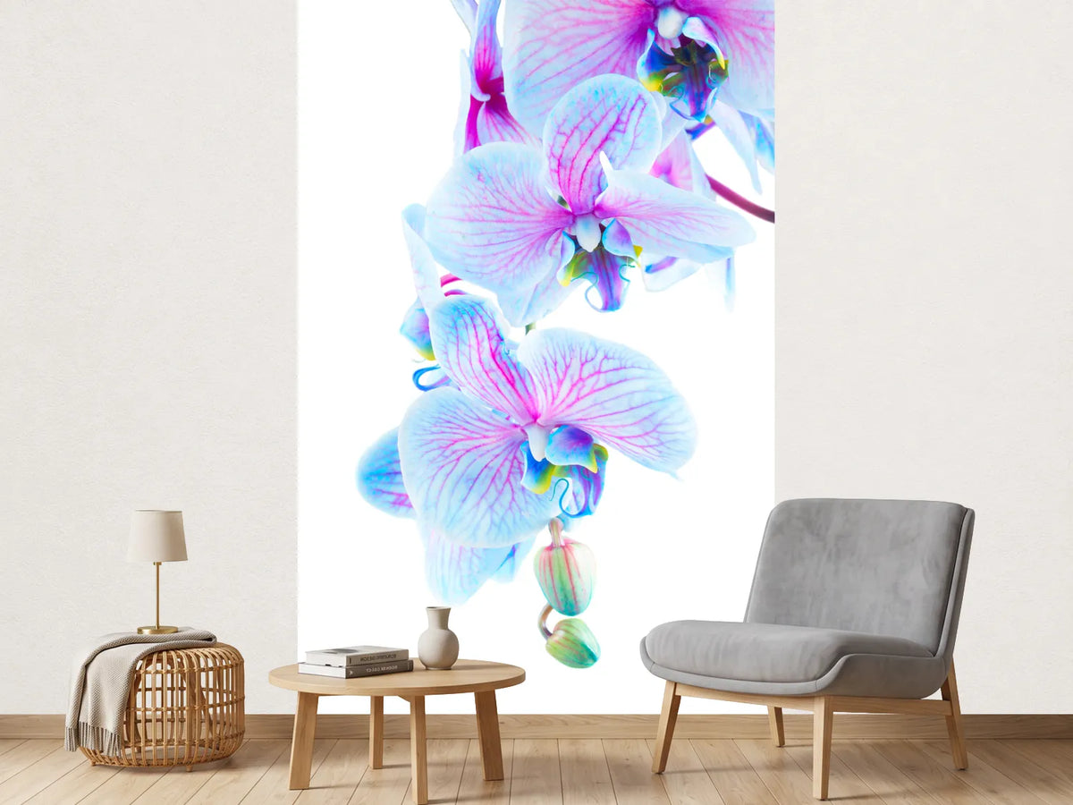 photo-wallpaper-orchid-butterfly