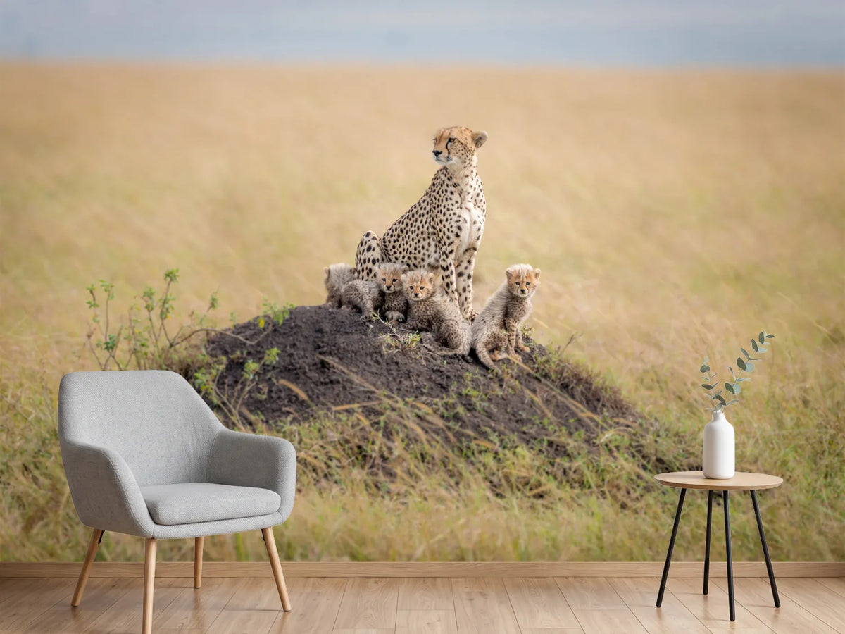 photo-wallpaper-regal-protector