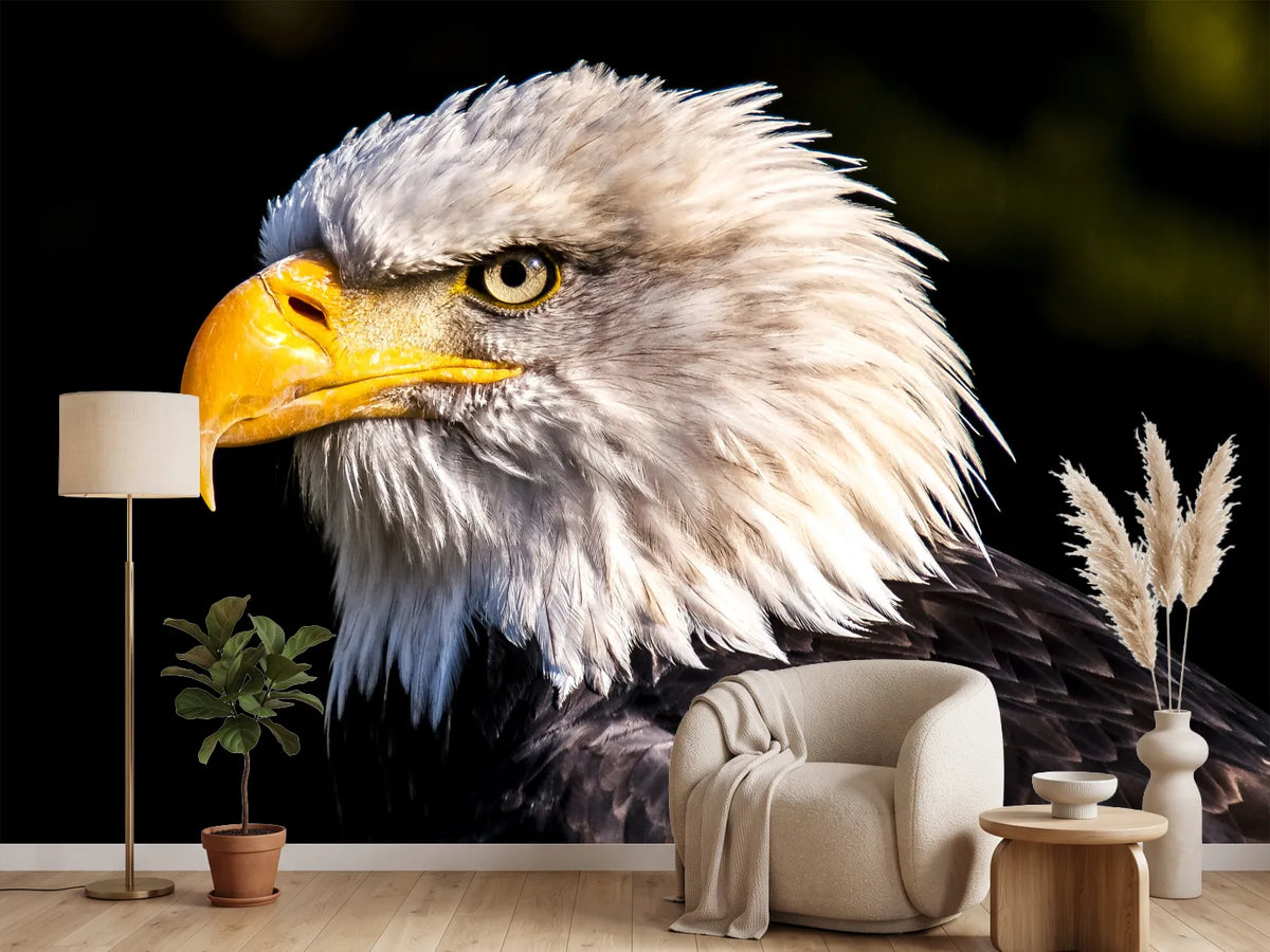 photo-wallpaper-the-eagle-head